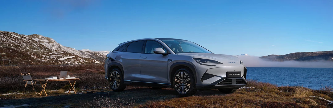 Power on demand with V2L